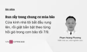 Run rẩy trong chung cư mùa bão